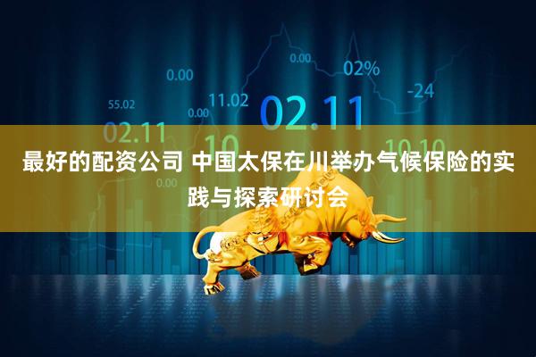 最好的配资公司 中国太保在川举办气候保险的实践与探索研讨会