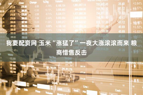 我要配资网 玉米“涨猛了”一夜大涨滚滚而来 粮商惜售反击
