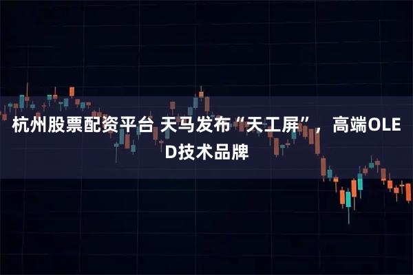 杭州股票配资平台 天马发布“天工屏”，高端OLED技术品牌